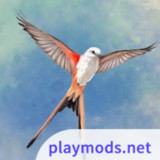 展翅翱翔<span>(Unlock all paid content)</span>1.5.546_rowtechapk.com