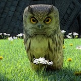 The Magical Typewriter(no watching ads to get Rewards)1.39.2_rowtechapk.com