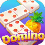 Duole Domino-Gaple QiuQiu Slot1.5.0_rowtechapk.com