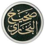 الدرر السنية صحيح البخاري صوت1.0_rowtechapk.com