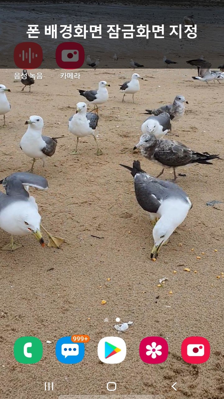 비디오크롭 비디오트림 비디오컷팅 (Video Crop  screenshot image 4_Popularmodapk.com