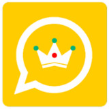 واتس الذهبى القديم الملكى13.0_rowtechapk.com