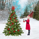 Christmas Tree Wallpapers6.0_rowtechapk.com