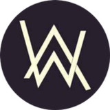 alan walker offline mp31.0.0_rowtechapk.com