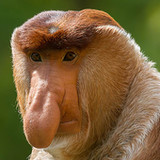 animal quiz questions4.6_rowtechapk.com