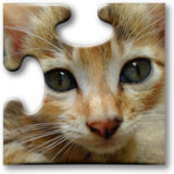 Cats Jigsaw Puzzles2023.09.15_rowtechapk.com