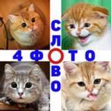 4 Фото 1 Слово. Где логика?1.73_rowtechapk.com