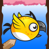 Rescue The Bird1.0.2_rowtechapk.com