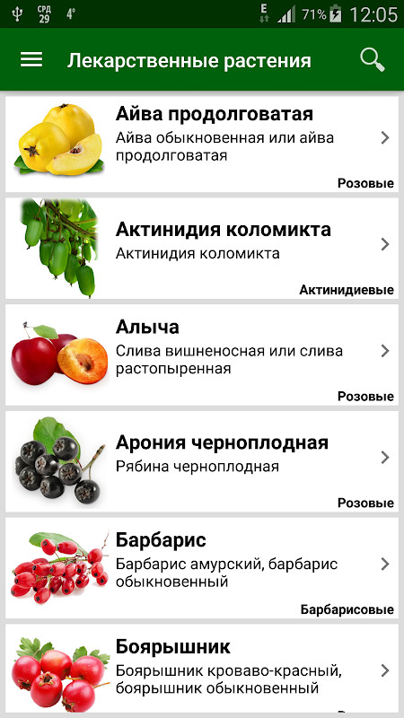 한인텔 - 전 세계 한인민박, 여행 예약 screenshot image 6_Popularmodapk.com