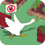 捣蛋鹅之无名大鹅1.0.6_rowtechapk.com