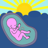 Pregnancy Assistant. Pregnancy Calendar.1.5_rowtechapk.com