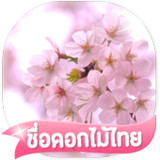 เกมส์ทายชื่อดอกไม้ไทย 25665.1.0_rowtechapk.com
