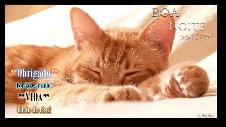 Boa Noite Amor - Good Night screenshot image 11_Popularmodapk.com