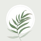 Blossom - Plant Identification1.27.0_rowtechapk.com
