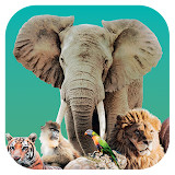 Ark Nova<span>(Unlock full content)</span>1.0.1_rowtechapk.com