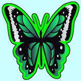 Butterflies Stickersversion 4.2_rowtechapk.com