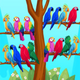 Bird Puzzle - Sorting Offline1.8.2_rowtechapk.com