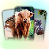 Animal Learning For Toddlers1.91_rowtechapk.com