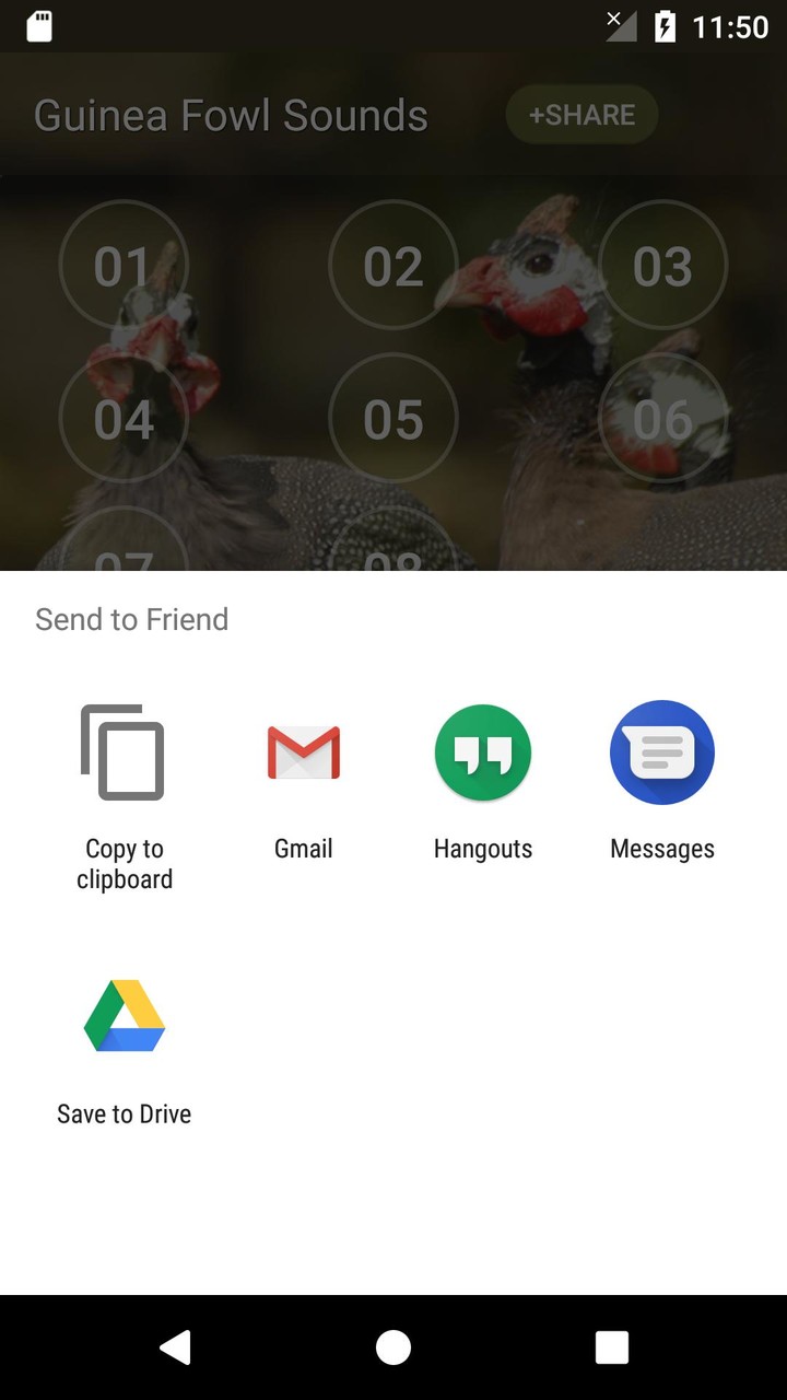 Guineafowl Sounds & Calls screenshot image 12_Popularmodapk.com