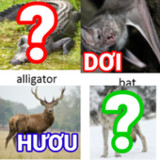đoán tên động vật tiếng việt10.5.1_rowtechapk.com