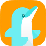 SURFIE-KIDS1.08553_rowtechapk.com