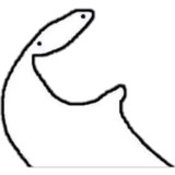 Flork Memes Stickers wastickerv1.2_rowtechapk.com