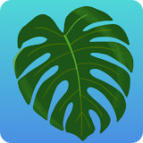 Plant Therapy NYC<span>(Unlimited coins)</span>250312.13_rowtechapk.com