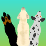 Herded Along1.0_rowtechapk.com