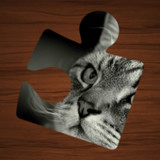 Animal Puzzles: Jigsaw Mosaics1.0.4_rowtechapk.com