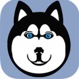 Tedy Loyalty3.1.3_rowtechapk.com