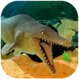 Feed and Grow Fish Guide1.0_rowtechapk.com
