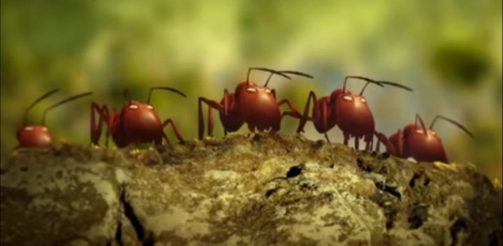 King Ant and friends screenshot image 13_Popularmodapk.com
