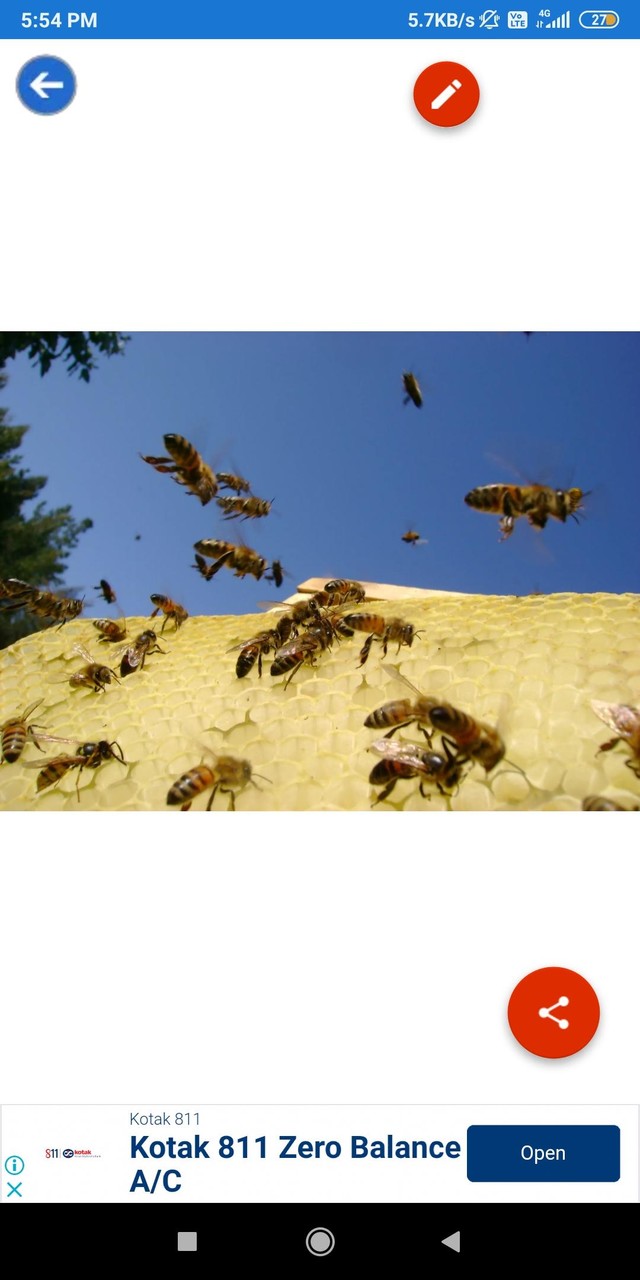 Disassembly 3D: Demolition(All contents for free) screenshot image 11_Popularmodapk.com