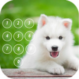 Puppy Dog Lock Screen12.3_rowtechapk.com
