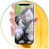 Beautiful Cats Wallpapers1.0.2_rowtechapk.com