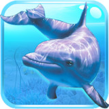 Fish simulator1.23_rowtechapk.com