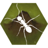Finally Ants(buy for free)2.43_rowtechapk.com
