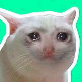 Cat Stickers for WhatsApp2.1_rowtechapk.com