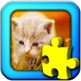 Kittens - Jigsaw Puzzles1.364_rowtechapk.com