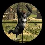 Gorilla Hunter: Hunting games1.3.0_rowtechapk.com