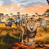 Big 5 Trivia1.1.2_rowtechapk.com