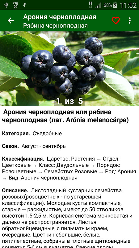 한인텔 - 전 세계 한인민박, 여행 예약 screenshot image 7_Popularmodapk.com