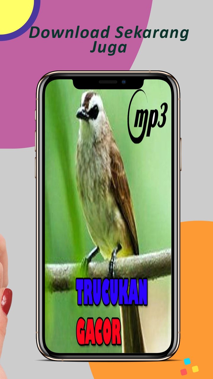 Pancingan Trucukan Gacor screenshot image 4_Popularmodapk.com