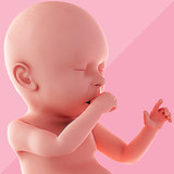 Pregnancy Tracker1.1.14_rowtechapk.com