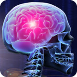 Human Anatomy Education Quiz2.40727_rowtechapk.com