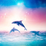Dolphin Sounds to Sleep1.2_rowtechapk.com