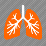 PneumoDoc3.1_rowtechapk.com