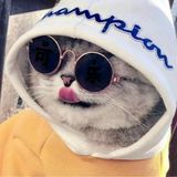 GTA Grand Theft Auto: San Andreas3.0(Mod版)_rowtechapk.com