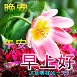 早上好，下午好，晚安5.6.0_rowtechapk.com