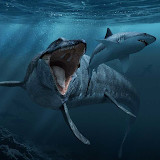 Mosasaurus Dino Simulator<span>(Unlimited coins)</span>1.2.2_rowtechapk.com